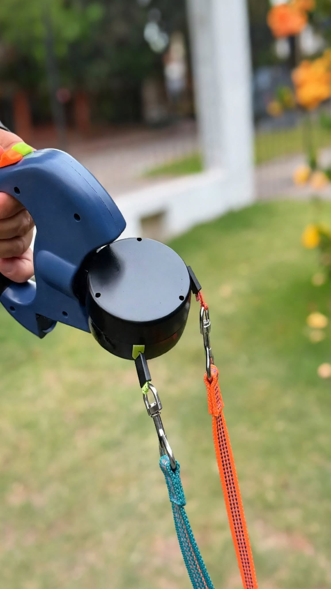 Correa extensible para perros con doble enganche